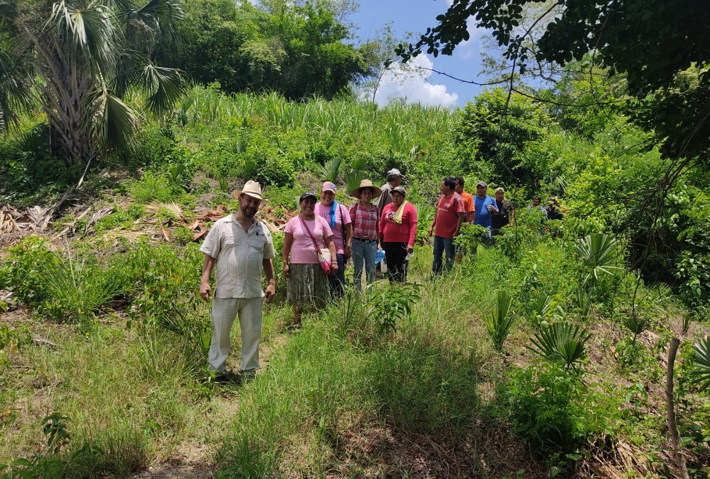Productores recorriendo su parcela