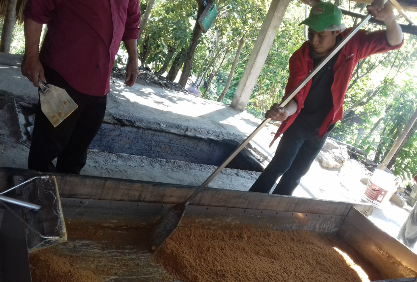 Elaboración de panela en el trapiche